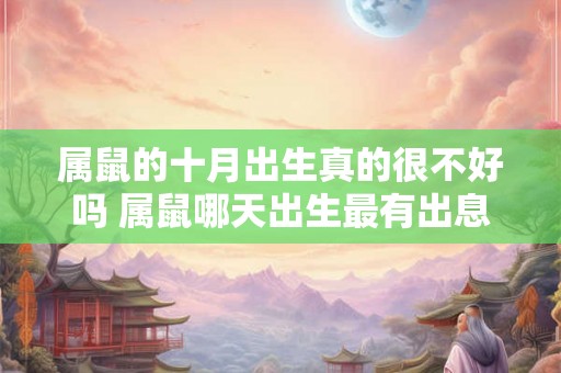 属鼠的十月出生真的很不好吗 属鼠哪天出生最有出息