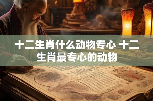 十二生肖什么动物专心 十二生肖最专心的动物