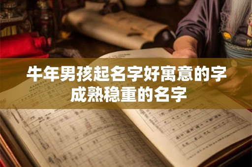牛年男孩起名字好寓意的字 成熟稳重的名字