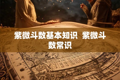 紫微斗数基本知识  紫微斗数常识