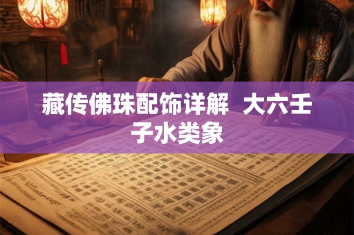 藏传佛珠配饰详解  大六壬子水类象