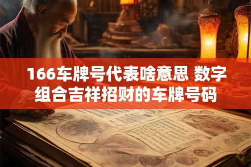 166车牌号代表啥意思 数字组合吉祥招财的车牌号码