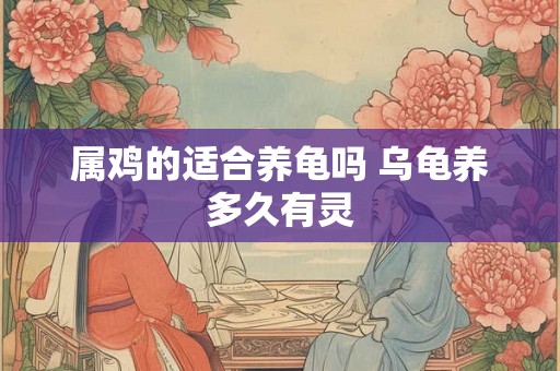 属鸡的适合养龟吗 乌龟养多久有灵