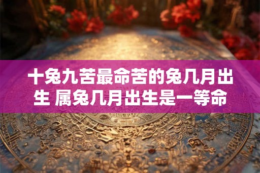 十兔九苦最命苦的兔几月出生 属兔几月出生是一等命