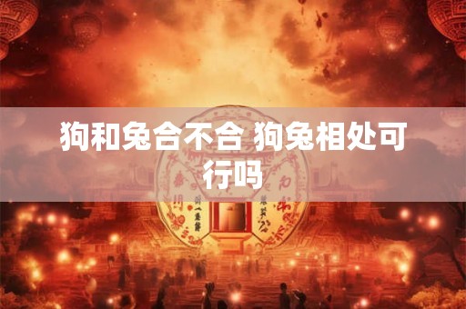 狗和兔合不合 狗兔相处可行吗 狗和兔合不合 狗兔相处可行吗