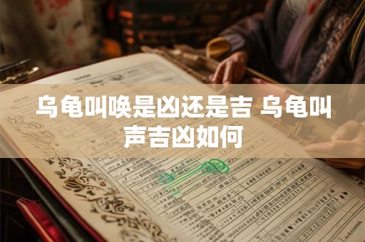 乌龟叫唤是凶还是吉 乌龟叫声吉凶如何 乌龟叫唤是凶还是吉 乌龟叫声吉凶如何