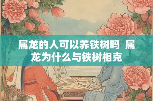 属龙的人可以养铁树吗  属龙为什么与铁树相克