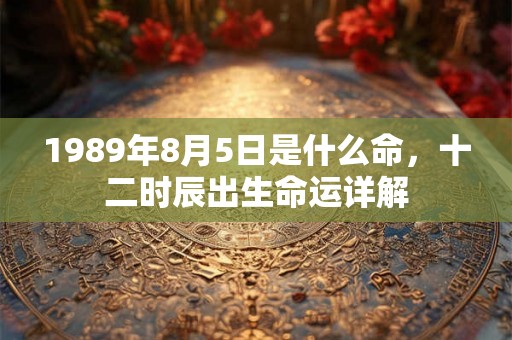 1989年8月5日是什么命，十二时辰出生命运详解