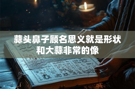 蒜头鼻子顾名思义就是形状和大蒜非常的像