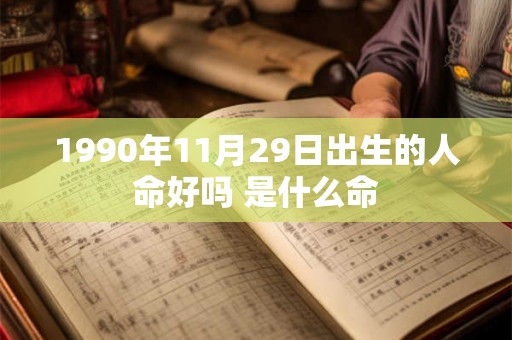 1990年11月29日出生的人命好吗 是什么命