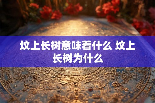 坟上长树意味着什么 坟上长树为什么