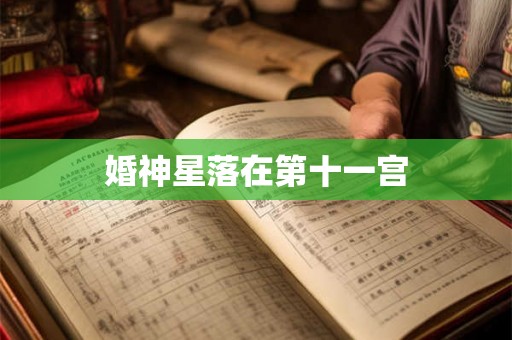 婚神星落在第十一宫