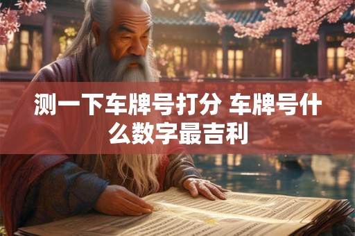 测一下车牌号打分 车牌号什么数字最吉利