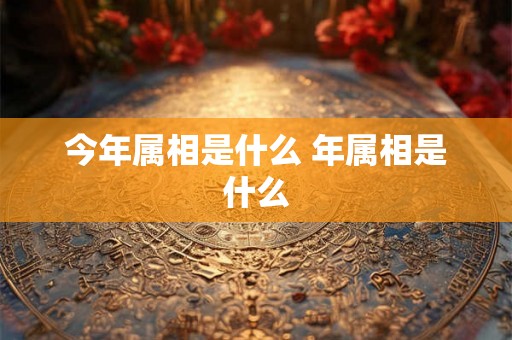今年属相是什么 年属相是什么