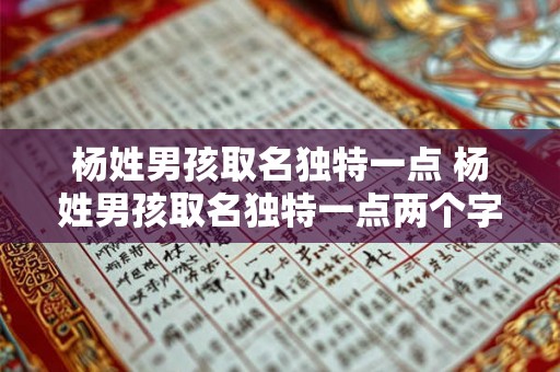 杨姓男孩取名独特一点 杨姓男孩取名独特一点两个字
