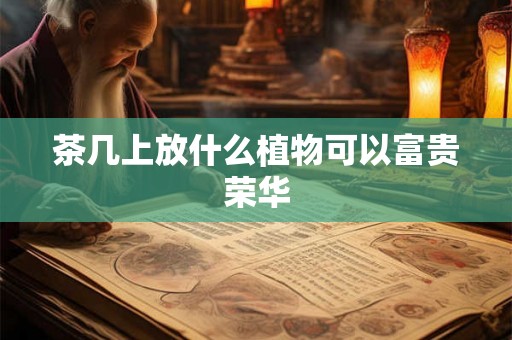 茶几上放什么植物可以富贵荣华