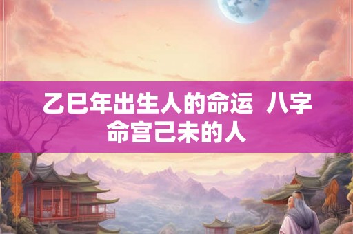 乙巳年出生人的命运  八字命宫己未的人