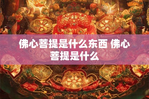 佛心菩提是什么东西 佛心菩提是什么 佛心菩提是什么东西 佛心菩提是什么