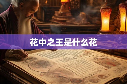 花中之王是什么花