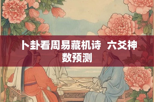 卜卦看周易藏机诗  六爻神数预测