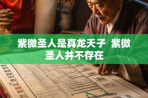 紫微圣人是真龙天子 紫微圣人并不存在 紫微圣人是真龙天子 紫微圣人并不存在