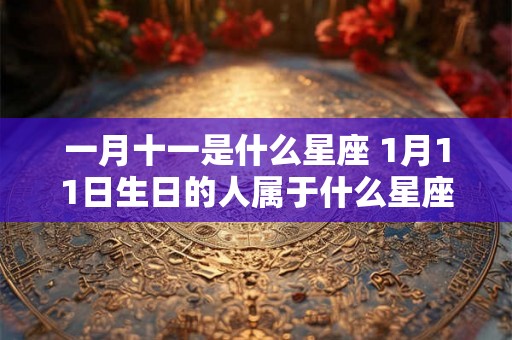 一月十一是什么星座 1月11日生日的人属于什么星座