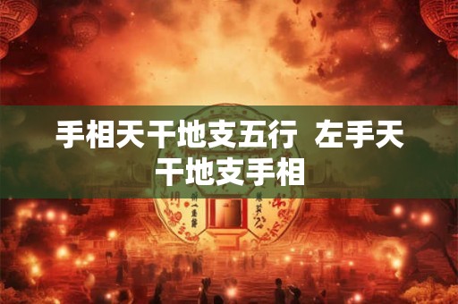 手相天干地支五行  左手天干地支手相