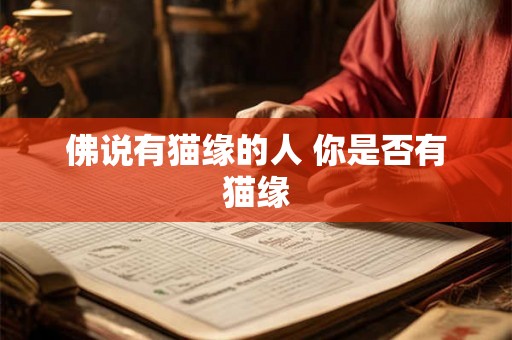 佛说有猫缘的人 你是否有猫缘