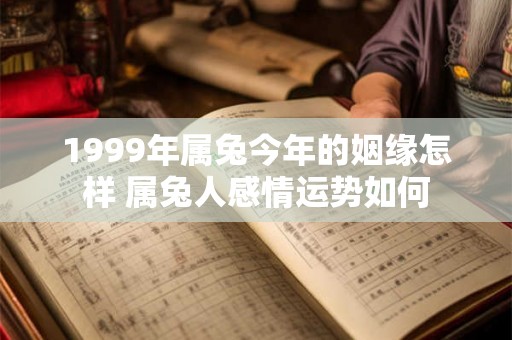 1999年属兔今年的姻缘怎样 属兔人感情运势如何