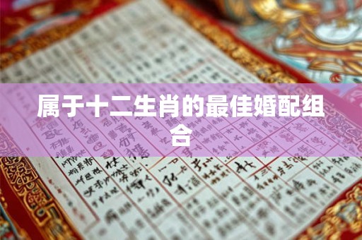 属于十二生肖的最佳婚配组合 属于十二生肖的最佳婚配组合