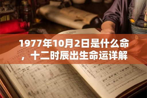 1977年10月2日是什么命，十二时辰出生命运详解