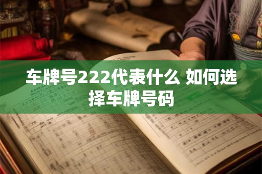 车牌号222代表什么 如何选择车牌号码