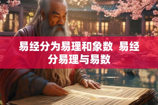易经分为易理和象数  易经分易理与易数