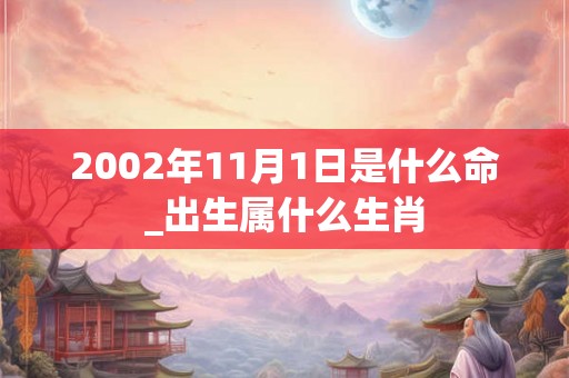 2002年11月1日是什么命_出生属什么生肖