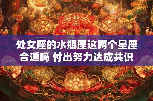 处女座的水瓶座这两个星座合适吗 付出努力达成共识