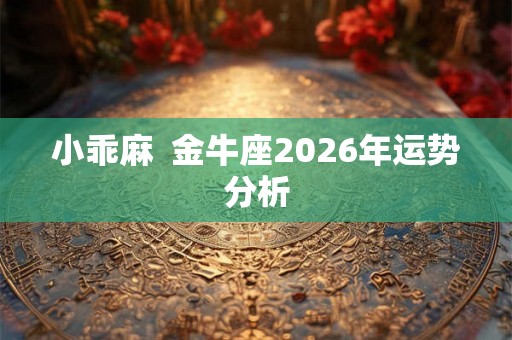 小乖麻  金牛座2026年运势分析