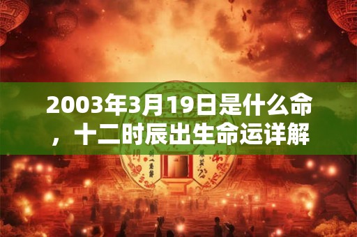 2003年3月19日是什么命，十二时辰出生命运详解