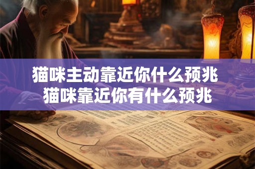 猫咪主动靠近你什么预兆 猫咪靠近你有什么预兆