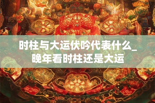 时柱与大运伏吟代表什么_晚年看时柱还是大运