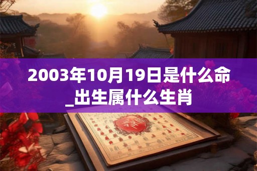 2003年10月19日是什么命_出生属什么生肖