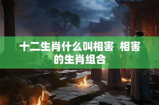 十二生肖什么叫相害  相害的生肖组合