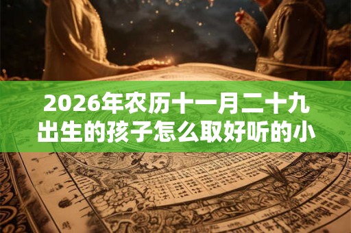 2026年农历十一月二十九出生的孩子怎么取好听的小名？乳名推荐