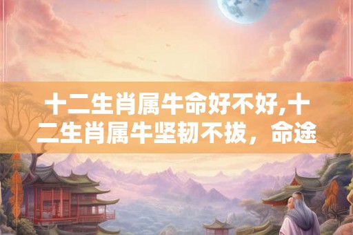 十二生肖属牛命好不好,十二生肖属牛坚韧不拔，命途多舛