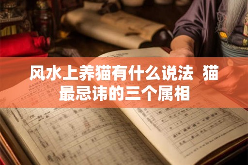 风水上养猫有什么说法  猫最忌讳的三个属相