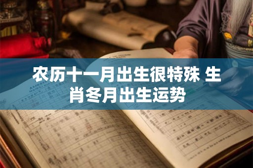 农历十一月出生很特殊 生肖冬月出生运势