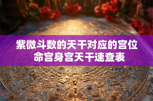 紫微斗数的天干对应的宫位  命宫身宫天干速查表