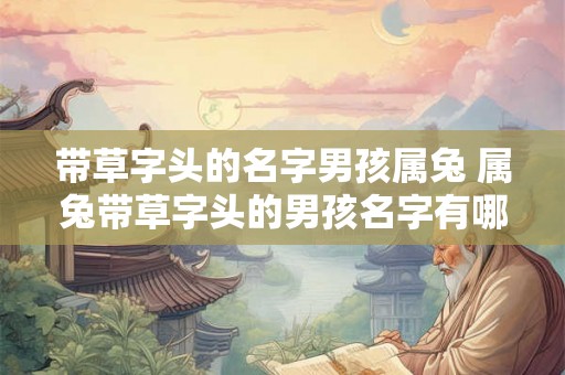 带草字头的名字男孩属兔 属兔带草字头的男孩名字有哪些