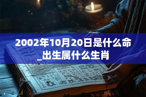 2002年10月20日是什么命_出生属什么生肖