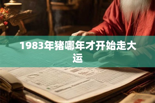 1983年猪哪年才开始走大运