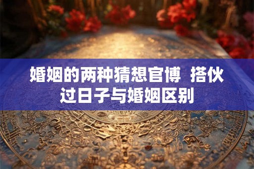 婚姻的两种猜想官博  搭伙过日子与婚姻区别